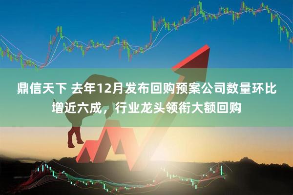 鼎信天下 去年12月发布回购预案公司数量环比增近六成，行业龙头领衔大额回购