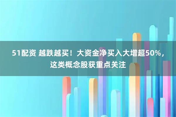 51配资 越跌越买！大资金净买入大增超50%，这类概念股获重点关注