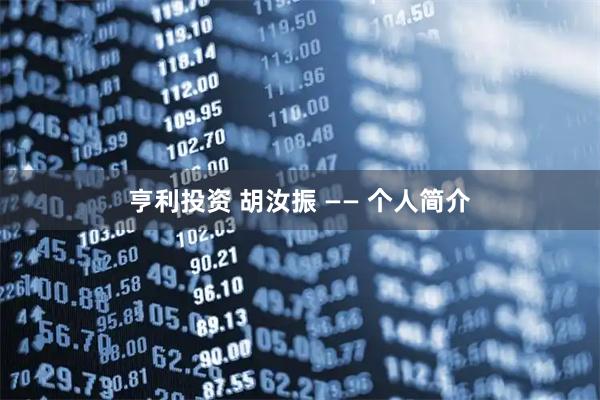 亨利投资 胡汝振 —— 个人简介