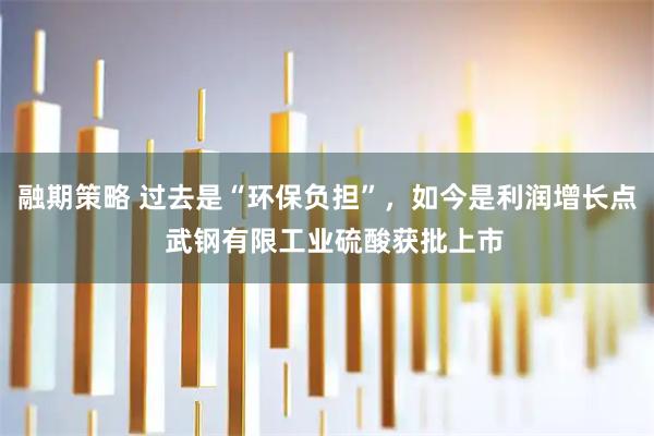 融期策略 过去是“环保负担”，如今是利润增长点  武钢有限工业硫酸获批上市